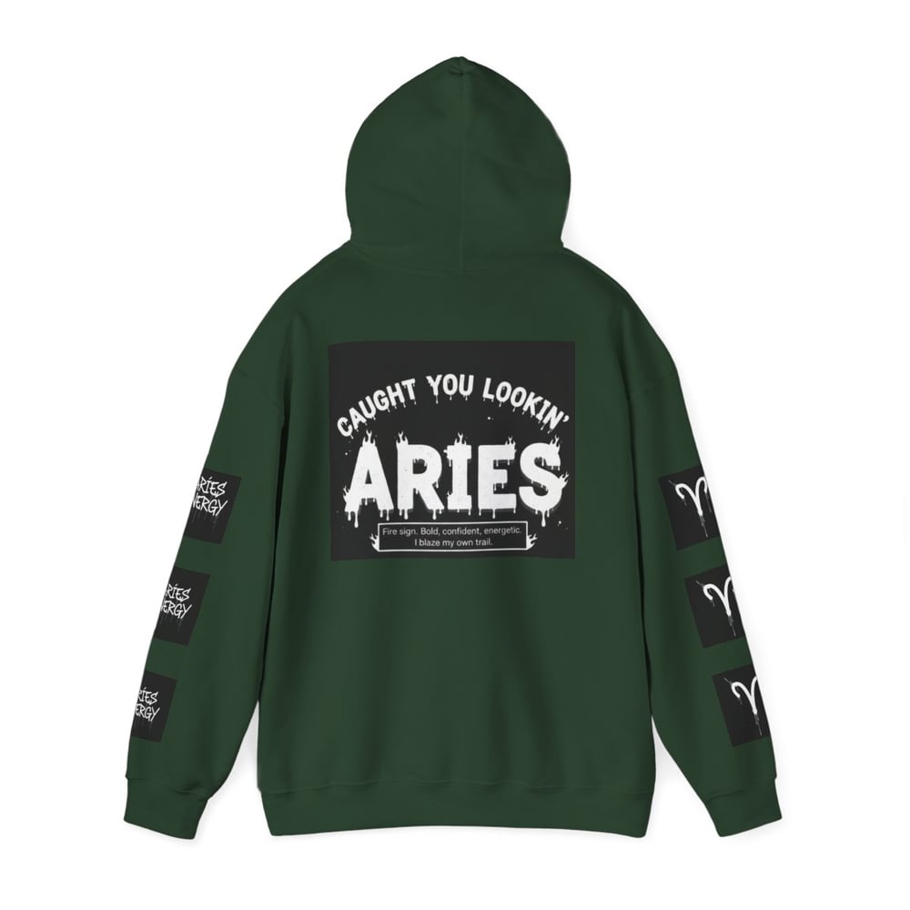 Image of Aries Zodiac Hoodie — "All Eyes On Aries" Astrology Pullover