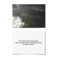 Image 3 of Trivial Pursuit Postcard Set