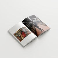 Image 5 of Chick Magnet