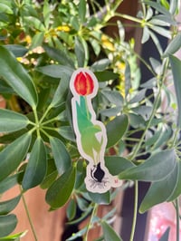 Tulip Sticker