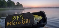 Image 4 of Micro Gill snap case