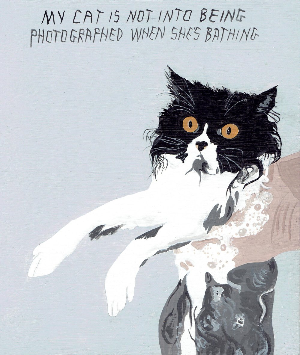 Image of BATHING MY CAT