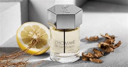 Image of L`HOMME YVES SAINT LAURENT (TYPE)