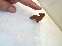 Image 4 of Spotted Charm