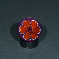 Image 1 of Twilight Divide