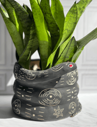 Image 1 of Snake planter
