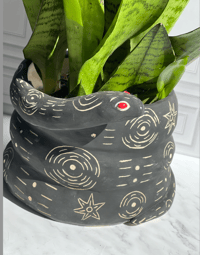 Image 3 of Snake planter