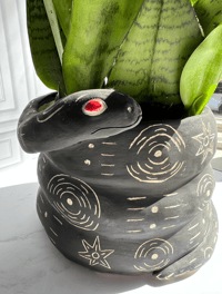Image 2 of Snake planter