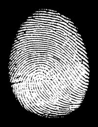 “Untitled” Screen Saver