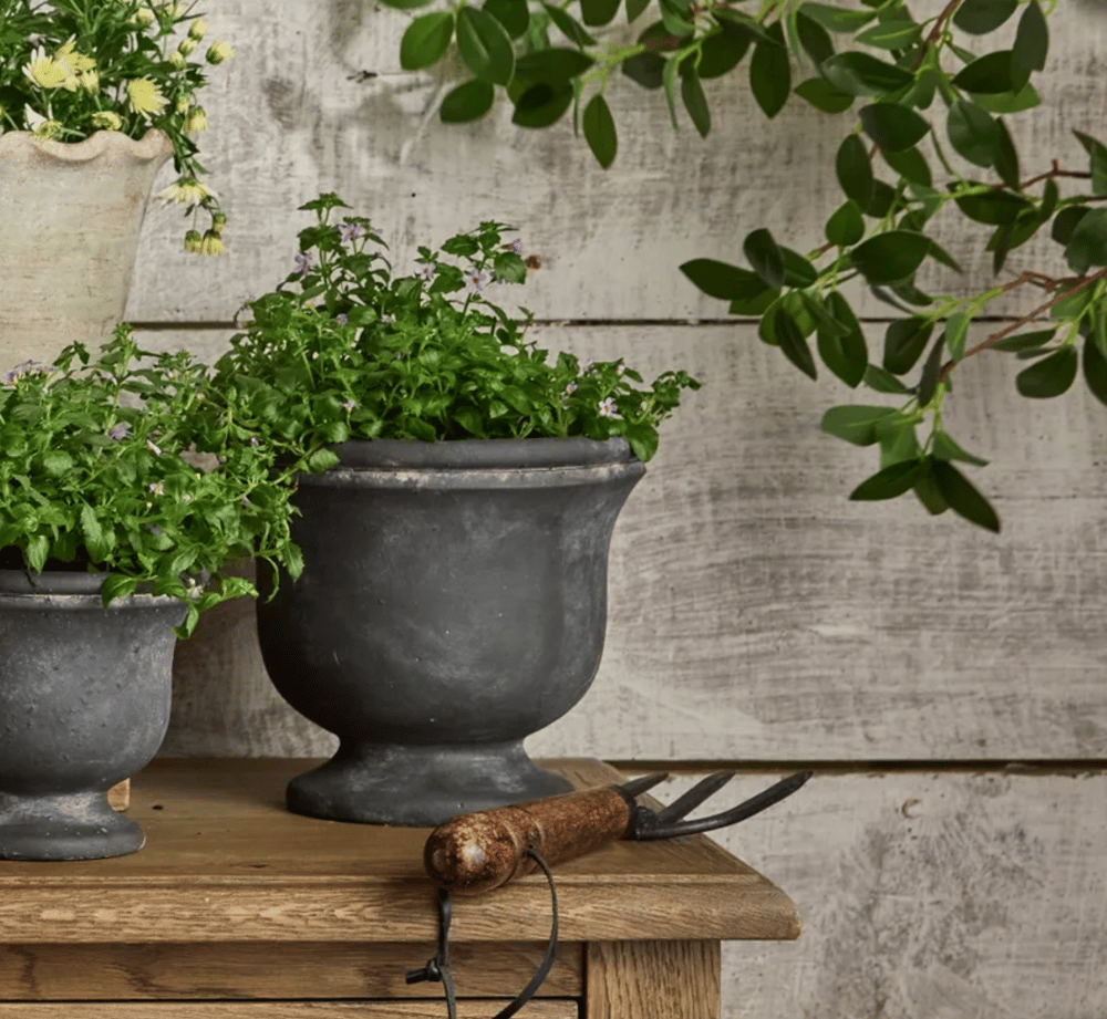 Image of Charcoal Planter