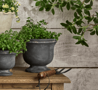 Image 1 of Charcoal Planter