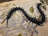 Image 1 of Centipede Shadowbox - Sculpted Specimen