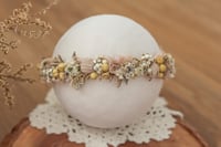 Newborn/Sitter Halo 264