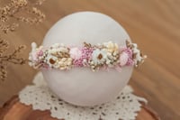 Newborn/Sitter Halo 266