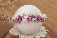 Newborn/Sitter Halo 269