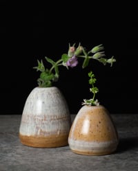 Image 1 of Bud Vase Set