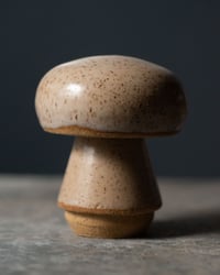 Image 1 of Mushroom Incense Holder | 002