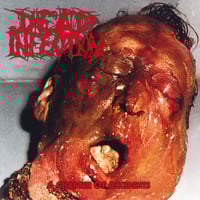 Dead Infection -  A Chapter Of Accidents 12" Picture Disc (UK Import)