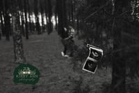 Image 3 of Family Reveal and Announcement Minis