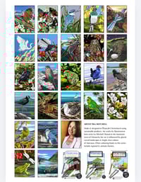 Image 4 of Native Birds of NZ colouring book