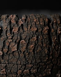 Image 4 of Textured Crackle Pot