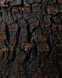 Image 5 of Textured Crackle Pot