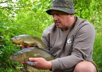 Image 2 of Tench Fishing: Tactics & Encounters ebook