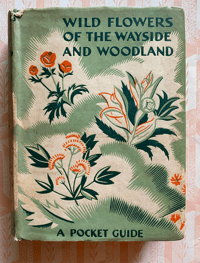 Image 1 of Wild Flowers of the Wayside and Woodland