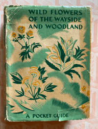 Image 4 of Wild Flowers of the Wayside and Woodland