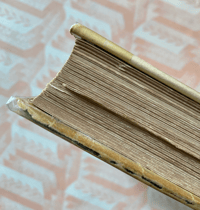 Image 8 of Wild Flowers of the Wayside and Woodland