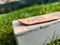 Image 4 of Lolix Egg - Disco Fever