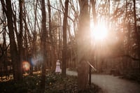 Image 5 of Bloom Minis