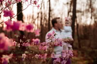 Image 2 of Bloom Minis