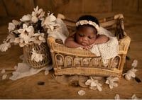 Image 3 of Samson crib in 3 colours