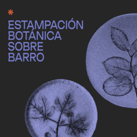 S14/03 Estampación vegetal en barro