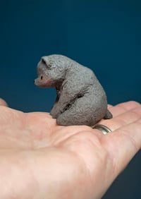 Image 4 of Melancholy Baby Bear