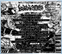 Image 3 of BODILY STEW - DEMO 2025 CD
