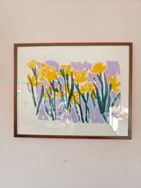 Image 2 of Come with me to the daffodil field