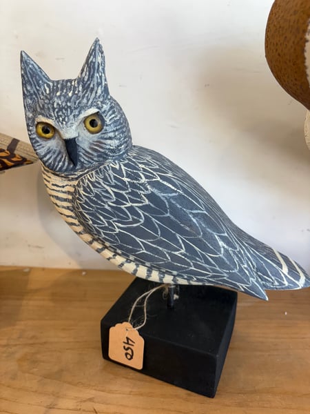 Image of Small Grey horned owl 