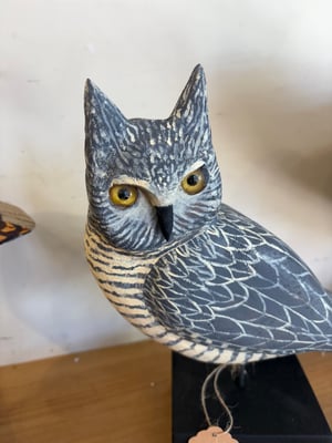 Image of Small Grey horned owl 