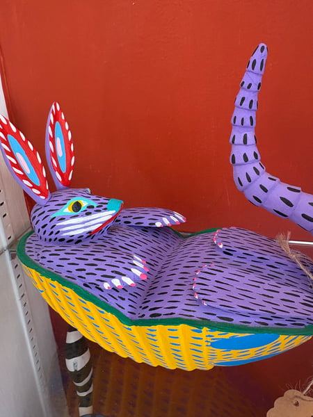 Image of Armadillo of kindness 