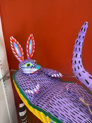 Image of Armadillo of kindness 