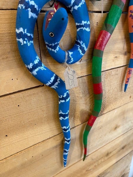 Image of Electric Blue snake