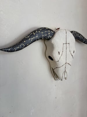 Image of Skull by Paul Lutonsky 