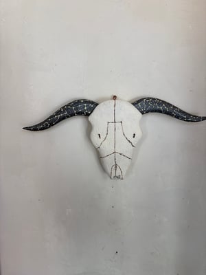 Image of Skull by Paul Lutonsky 