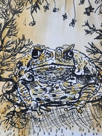 Image 2 of Toad