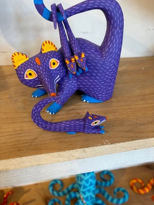 Image of Awesome Opossum Mom 