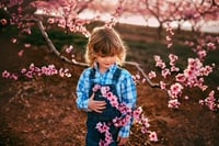 Image 1 of Peach and Cherry Blossoms