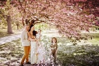 Image 3 of Peach and Cherry Blossoms