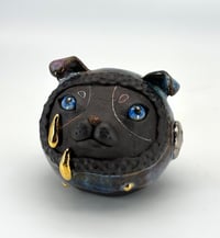 Image 3 of Weeping Pup 